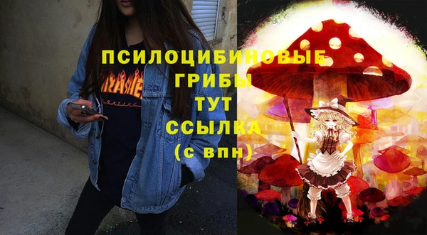 прущая мука Алзамай