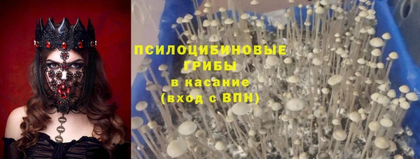 прущая мука Алзамай