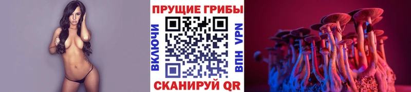 блэк спрут   Березники  Псилоцибиновые грибы Cubensis 